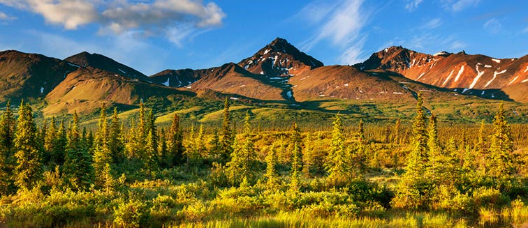 What to see in États-Unis Alaska