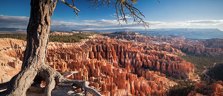 What to see in États-Unis Bryce Canyon National Park 