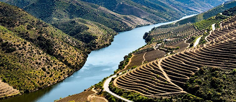 What to see in Portugal Douro River
