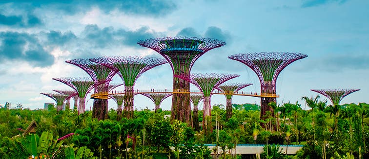 What to see in Singapour Jardins de la Baie