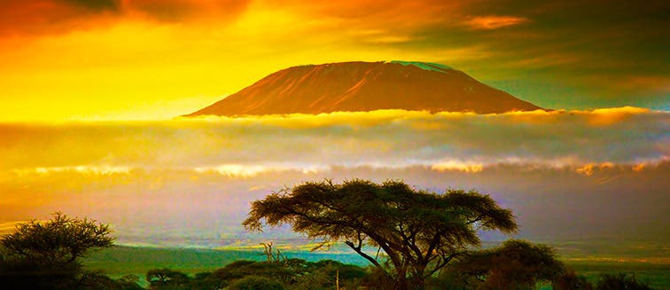 What to see in Tanzanie Kilimanjaro