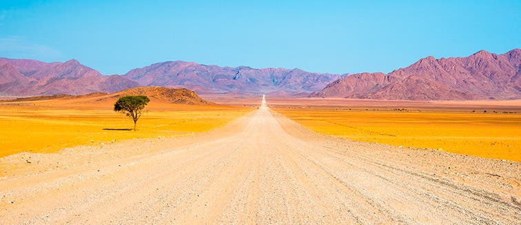 What to see in Namibie Namib Naukluft