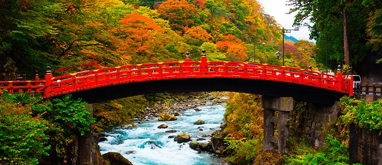 What to see in Japon Nikko