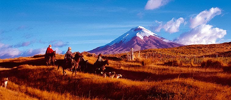 What to see in Équateur Parc National Cotopaxi