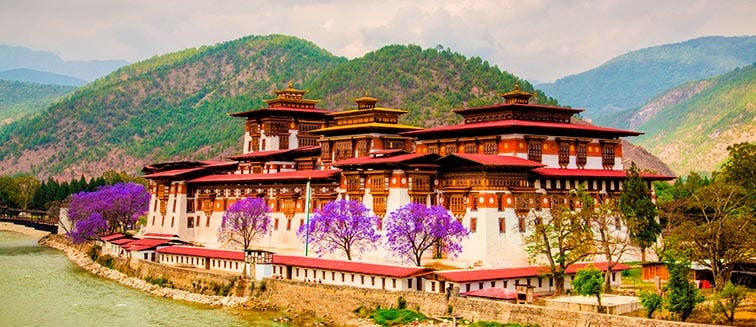 What to see in Bhoutan Punakha