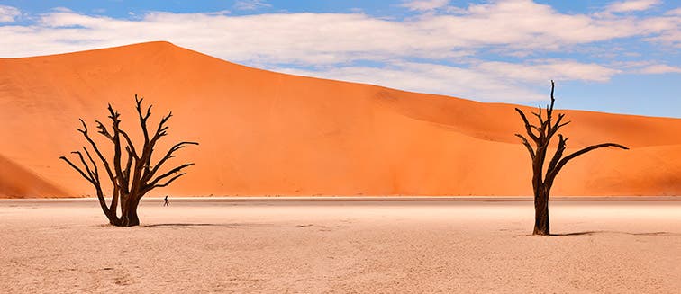 What to see in Namibie Sossusvlei