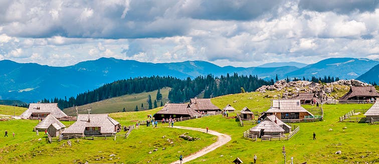 What to see in Slovénie Velika Planina