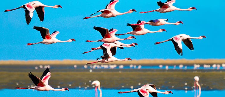 What to see in Namibie Walvis Bay